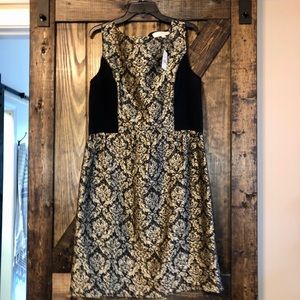 Loft black and gold dress